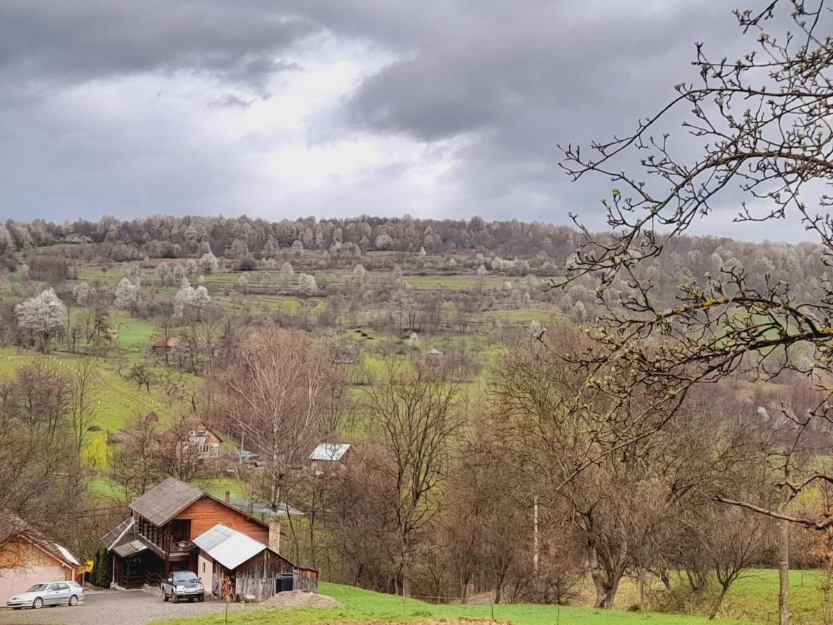 Casa De La Ferma Mariuca Villa Berbesti Екстериор снимка